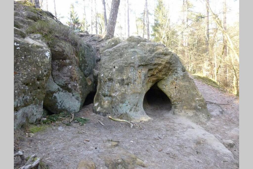 Le Repaire Des Herissons Vallee De Rabais Virton Exteriér fotografie